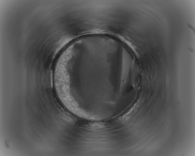 X0000091351171200708241239