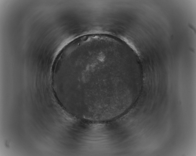 X0000091351173200708241239