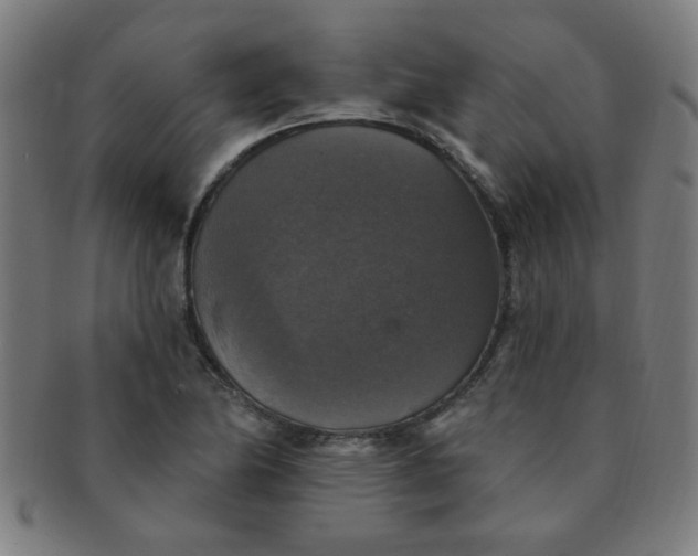 X0000091351174200708241239