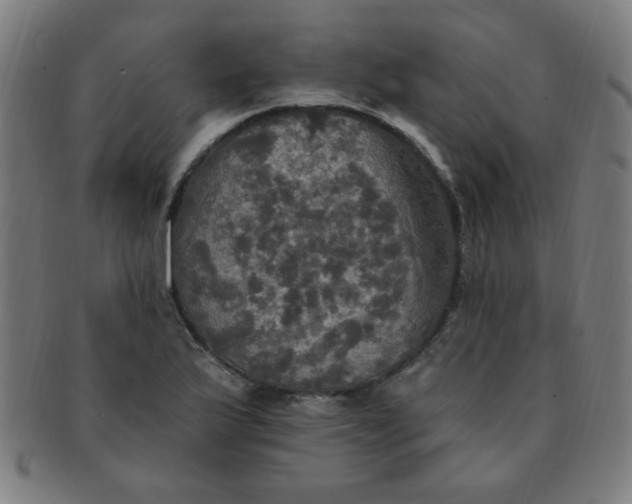 X0000091351175200708241239