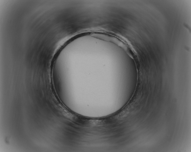 X0000091351176200708241239