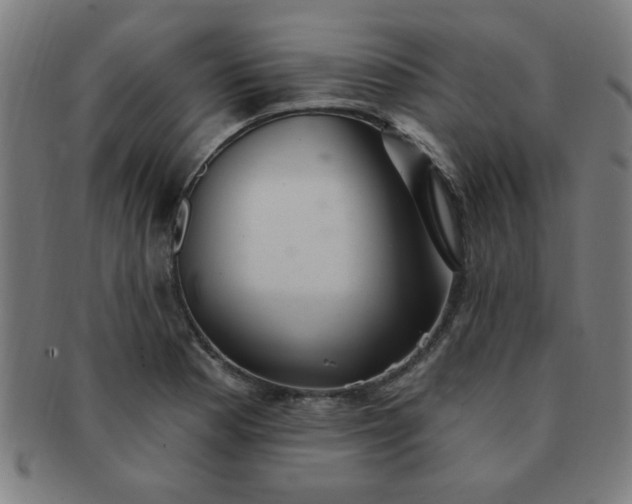 X0000091351177200708241239