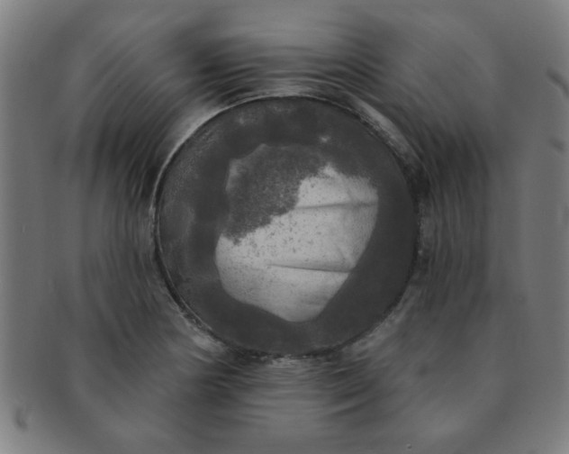 X0000091351178200708241239