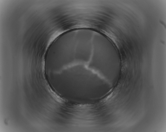 X0000091351179200708241239