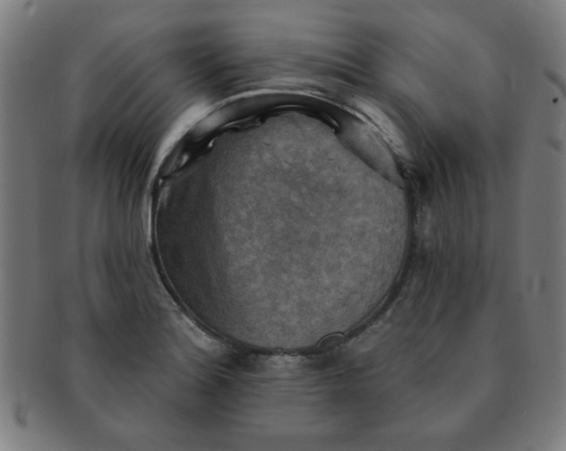 X0000091351180200708241239