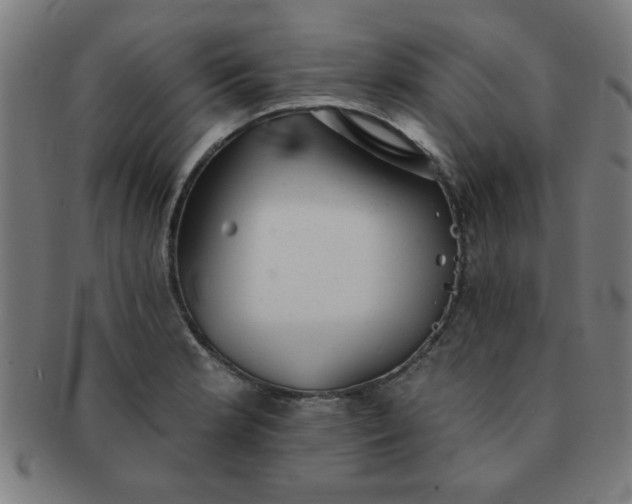 X0000091351181200708241239