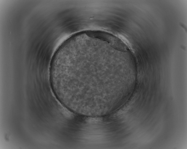 X0000091351183200708241239