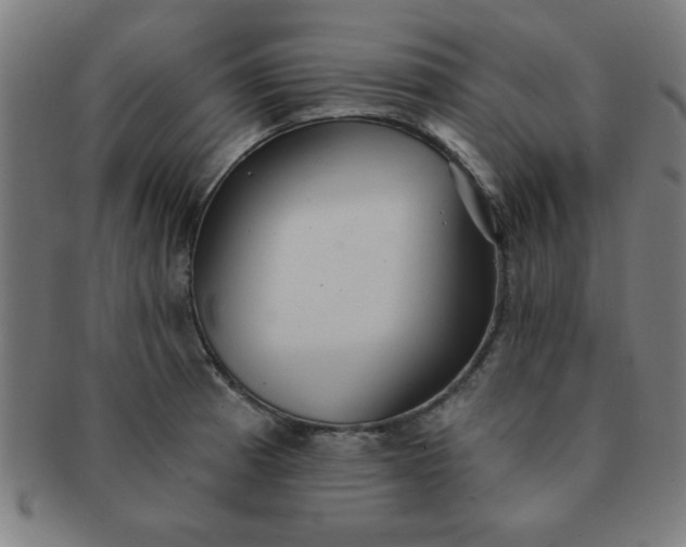 X0000091351185200708241239