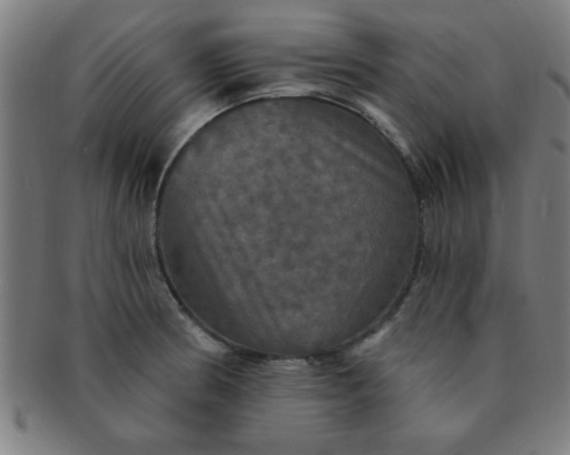 X0000091351186200708241239