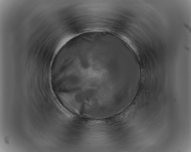 X0000091351187200708241239