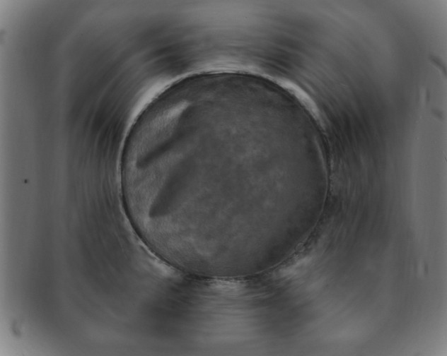 X0000091351191200708241239