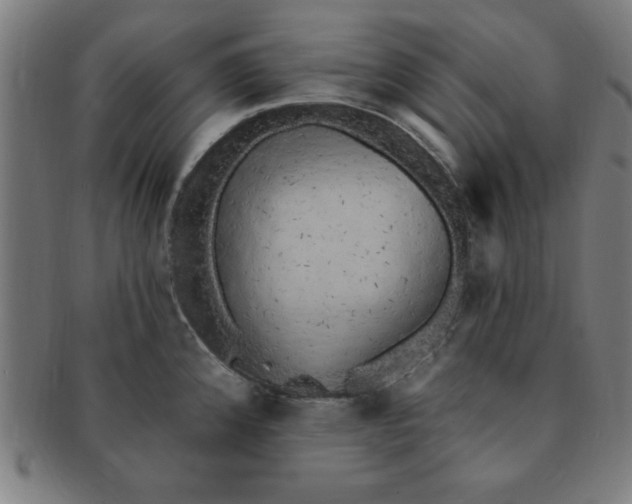 X0000091351192200708241239