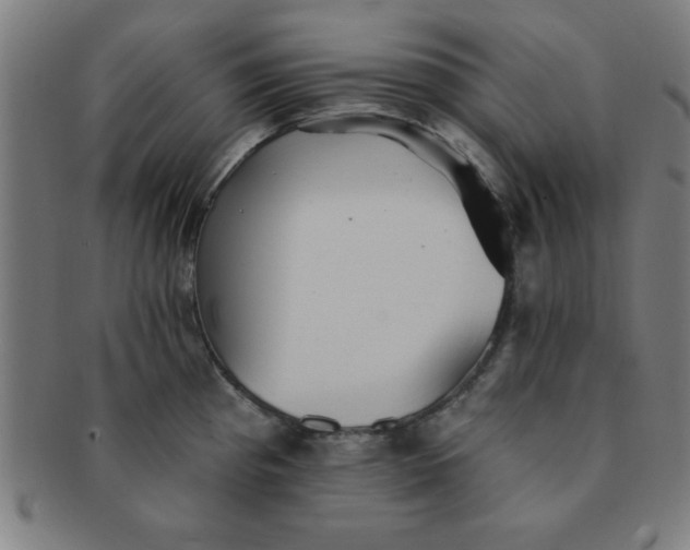 X0000091351193200708241239
