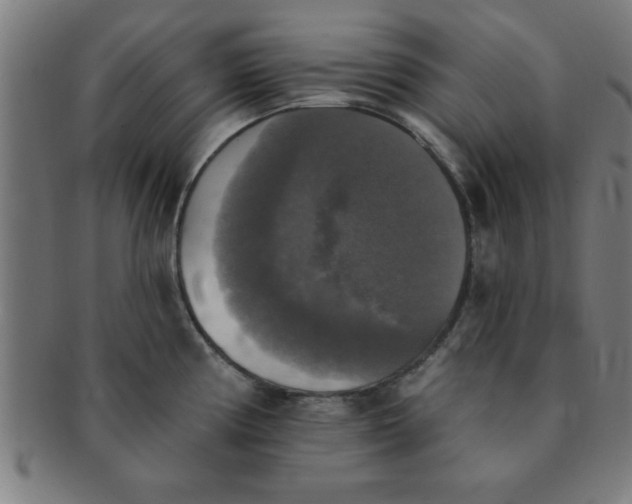 X0000091351194200708241239