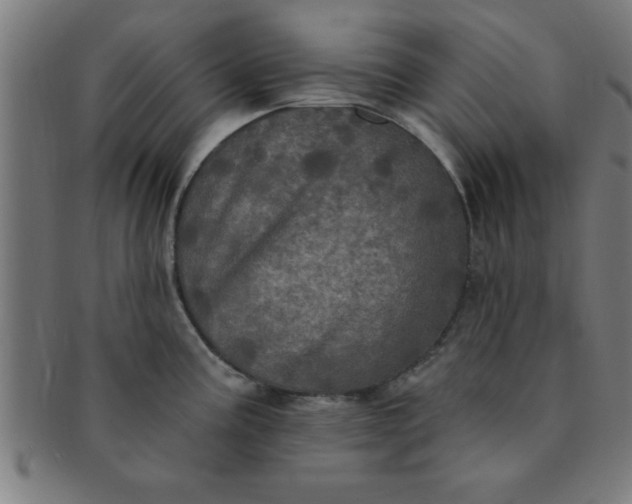 X0000091351195200708241239