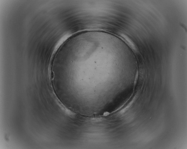 X0000091351196200708241239
