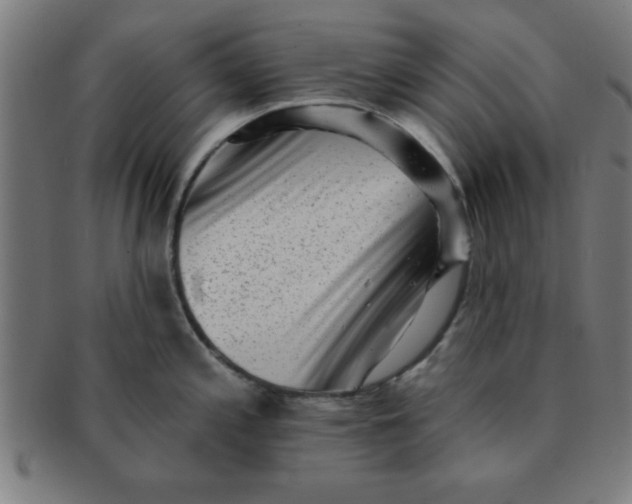 X0000091351197200708241239