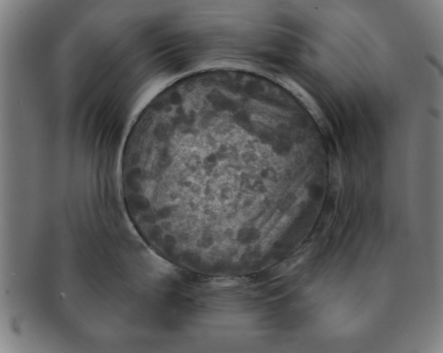 X0000091351199200708241239