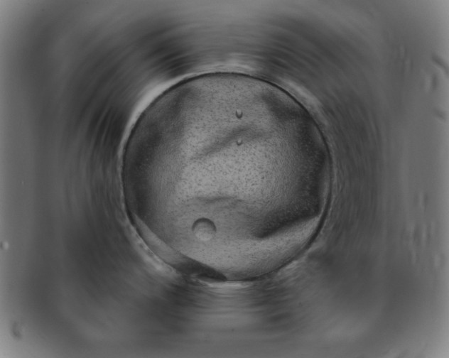 X0000091351200200708241239