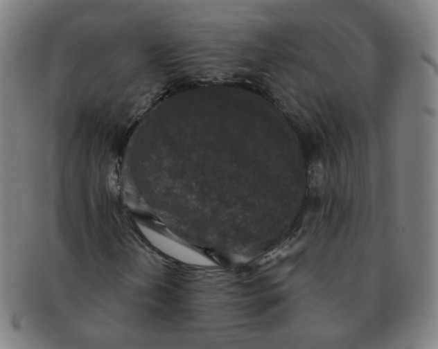 X0000091351202200708241238