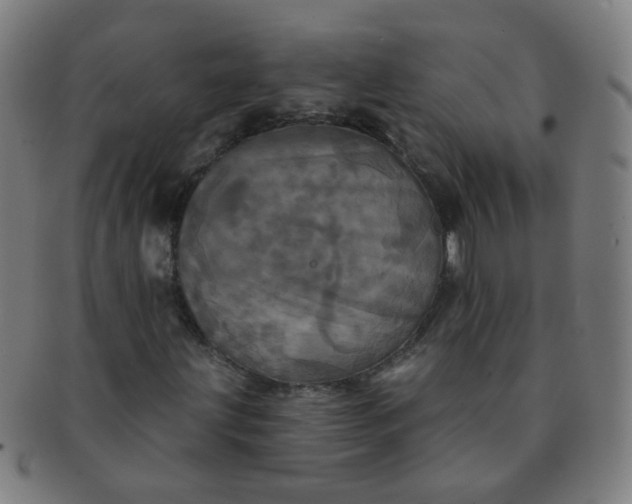 X0000091351203200708241238