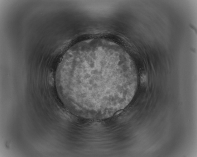X0000091351204200708241238