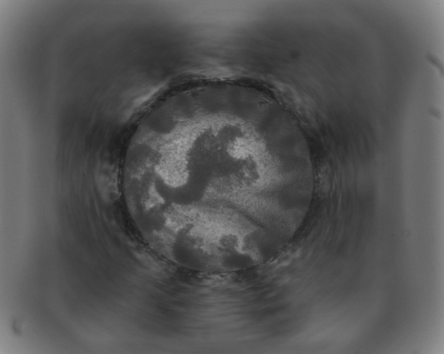 X0000091351205200708241238