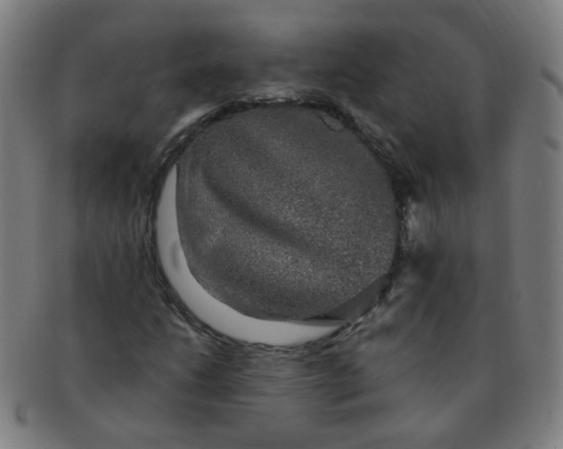X0000091351206200708241238
