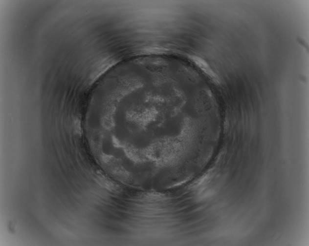 X0000091351209200708241238