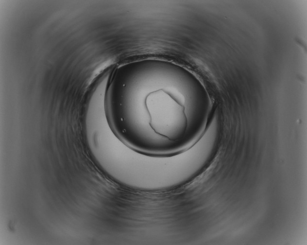 X0000091351210200708241238
