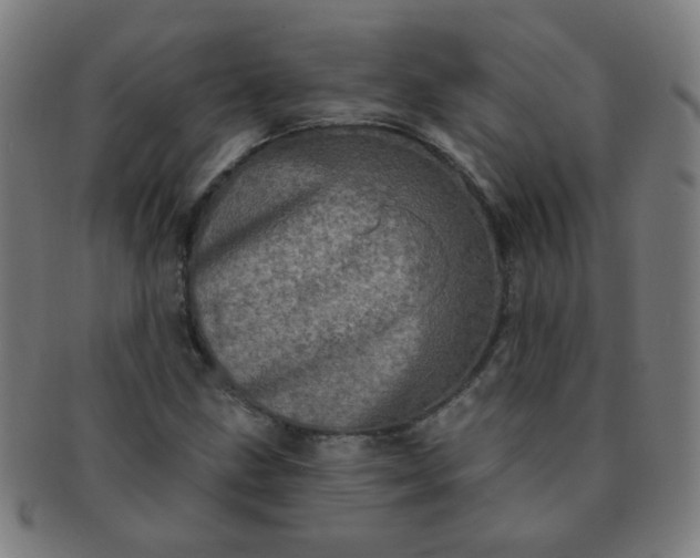 X0000091351211200708241238