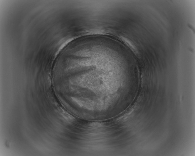 X0000091351212200708241238
