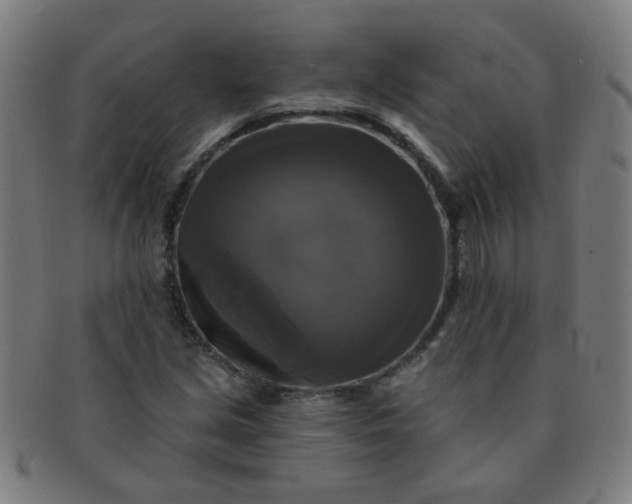 X0000091351213200708241238