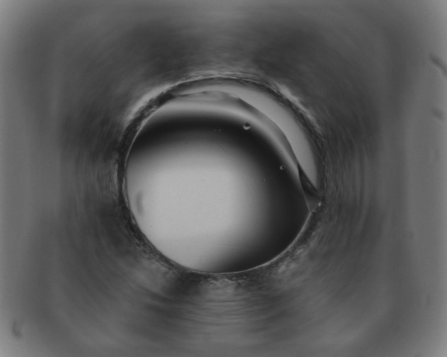 X0000091351214200708241238