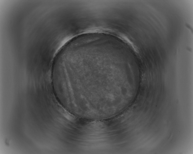 X0000091351216200708241238