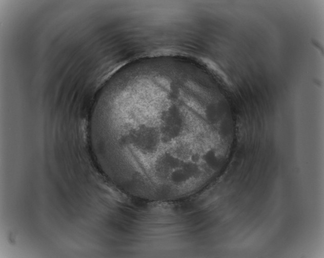 X0000091351217200708241238