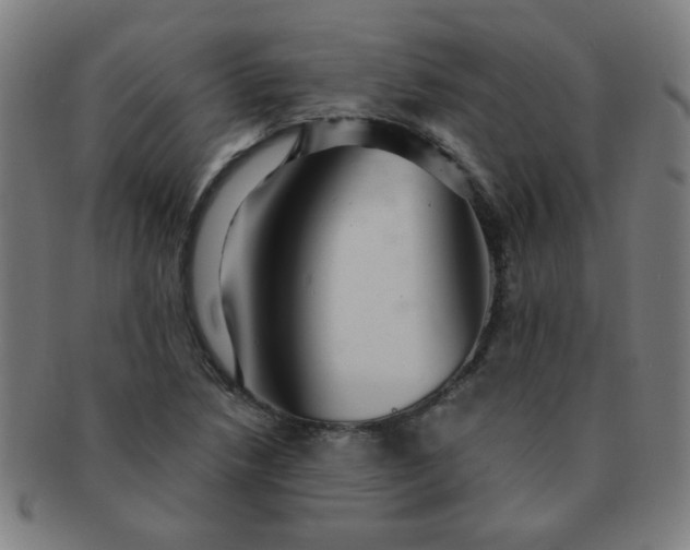 X0000091351218200708241238