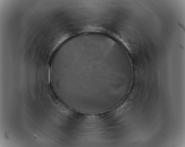 X0000091351219200708241239