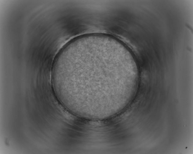 X0000091351220200708241239