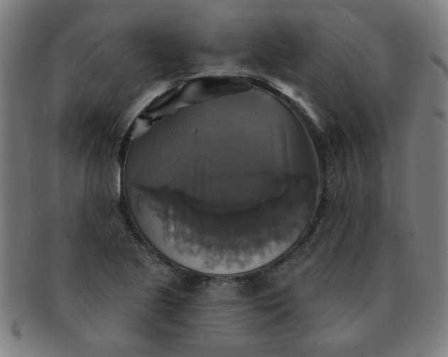 X0000091351221200708241239