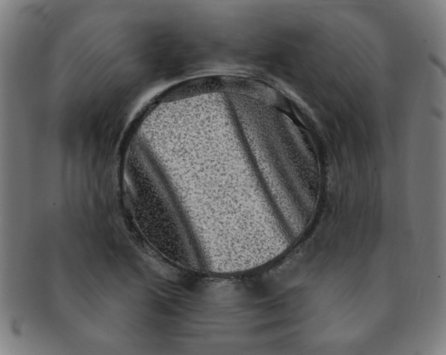 X0000091351222200708241239