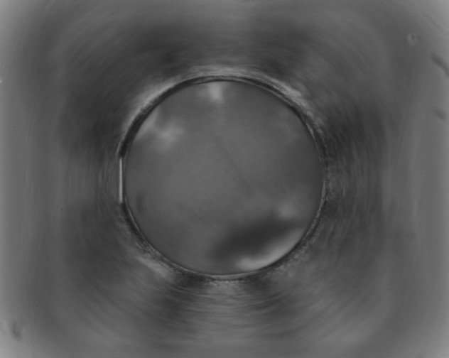 X0000091351223200708241239