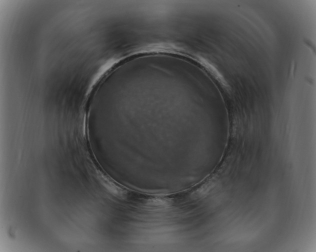 X0000091351224200708241239