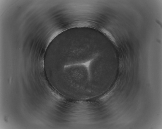X0000091351226200708241239