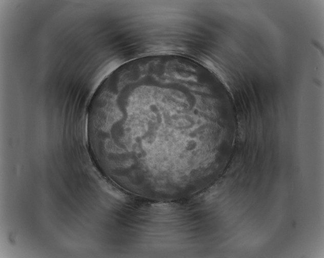 X0000091351227200708241239