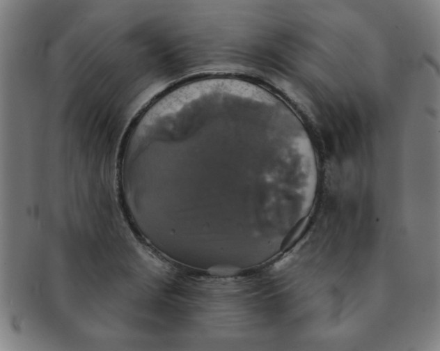 X0000091351229200708241239
