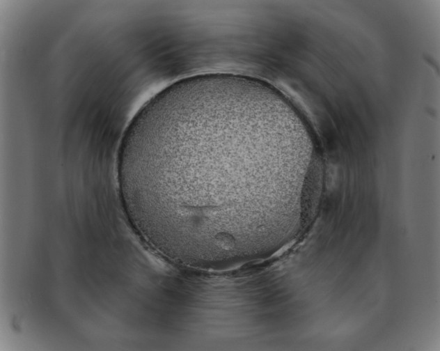 X0000091351230200708241239