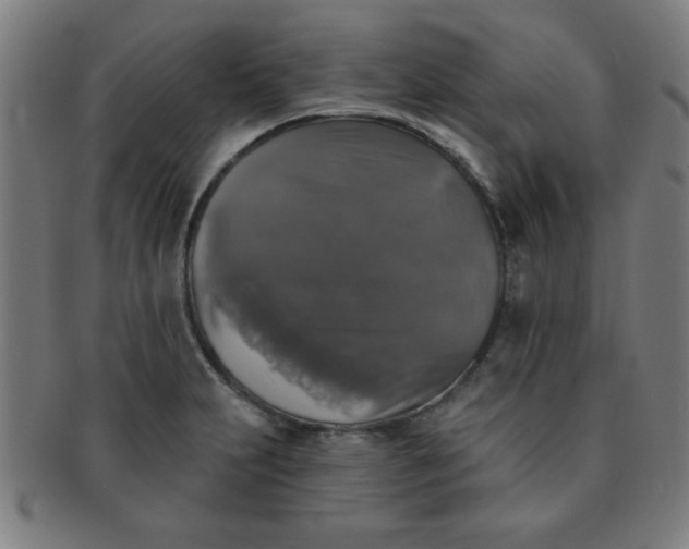 X0000091351231200708241239