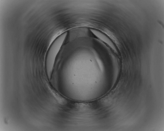 X0000091351234200708241239