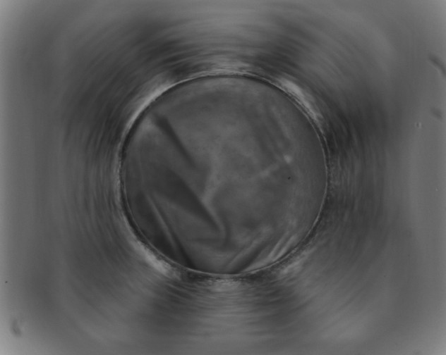 X0000091351235200708241239